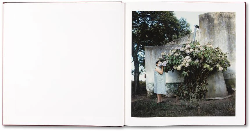 Alessandra Sanguinetti - The Adventures of Guille and Belinda and The Enigmatic Meaning of Their Dreams - Image 14