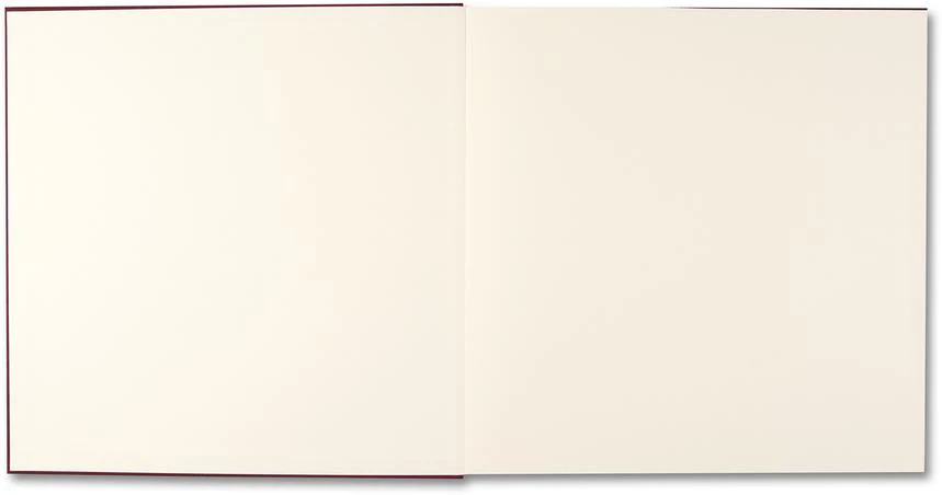 Alessandra Sanguinetti - The Adventures of Guille and Belinda and The Enigmatic Meaning of Their Dreams - Image 2