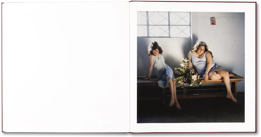 Alessandra Sanguinetti - The Adventures of Guille and Belinda and The Enigmatic Meaning of Their Dreams - Image 23