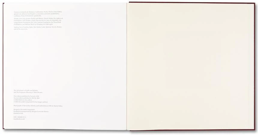 Alessandra Sanguinetti - The Adventures of Guille and Belinda and The Enigmatic Meaning of Their Dreams - Image 28