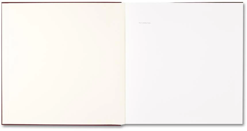 Alessandra Sanguinetti - The Adventures of Guille and Belinda and The Enigmatic Meaning of Their Dreams - Image 3