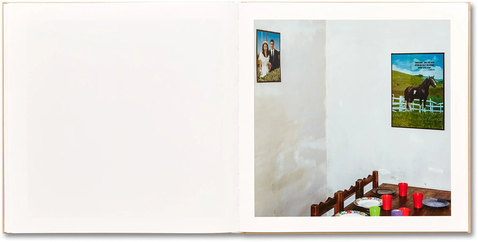Alessandra Sanguinetti - The Adventures of Guille and Belinda and The Illusion of an Everlasting Summer - Image 18