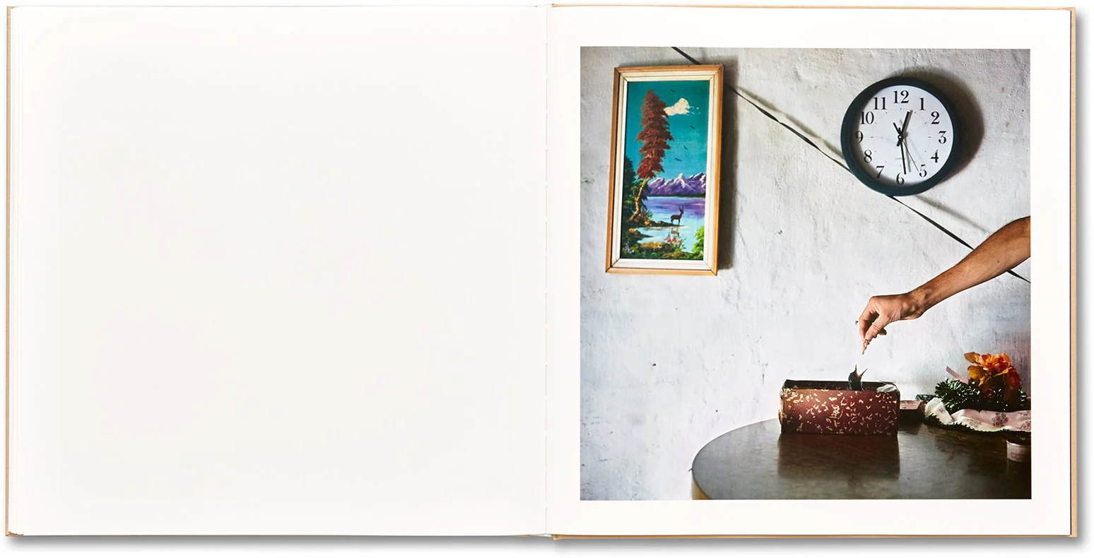 Alessandra Sanguinetti - The Adventures of Guille and Belinda and The Illusion of an Everlasting Summer - Image 22