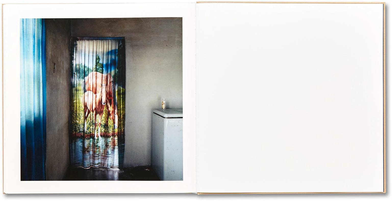 Alessandra Sanguinetti - The Adventures of Guille and Belinda and The Illusion of an Everlasting Summer - Image 25