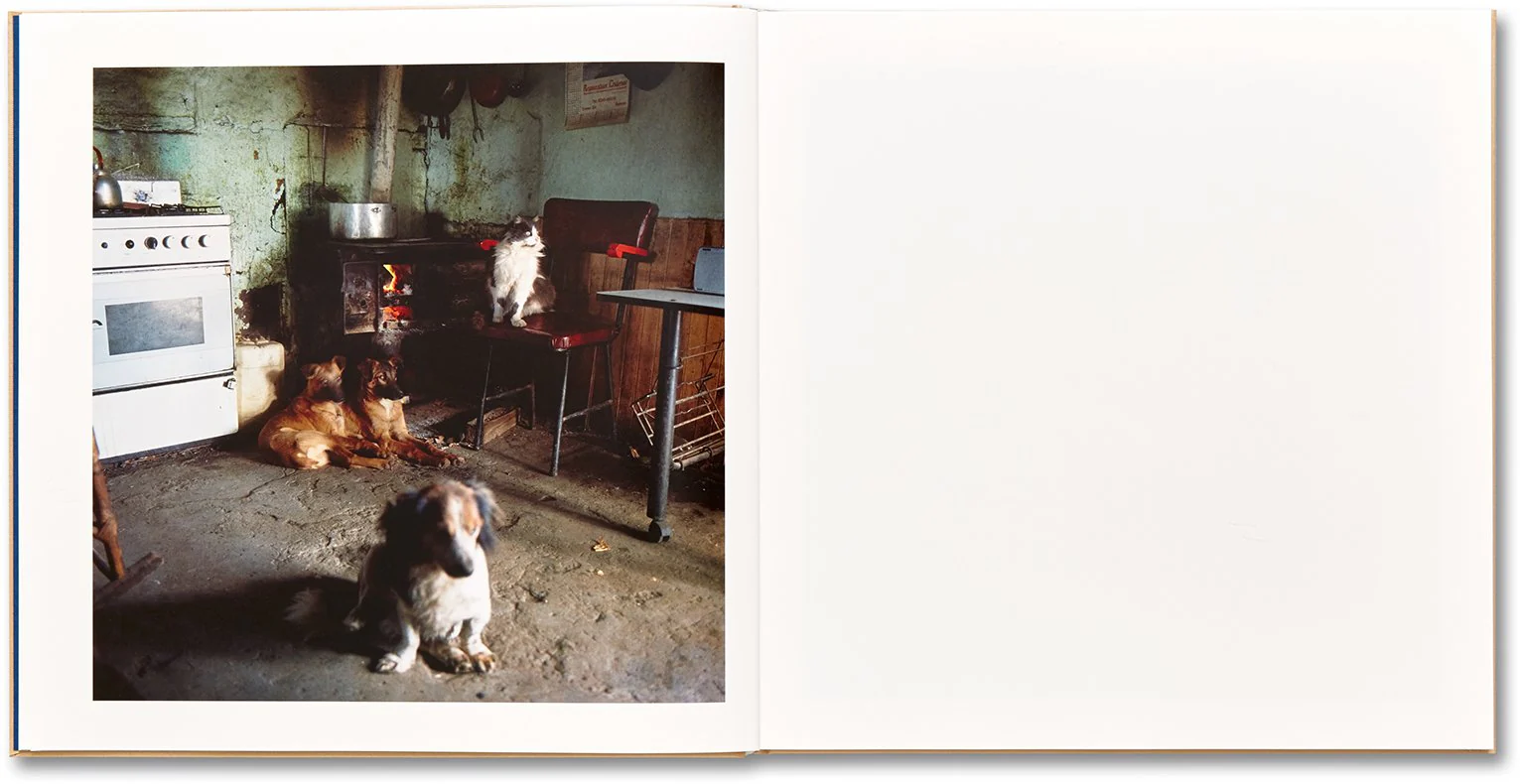 Alessandra Sanguinetti - The Adventures of Guille and Belinda and The Illusion of an Everlasting Summer - Image 6
