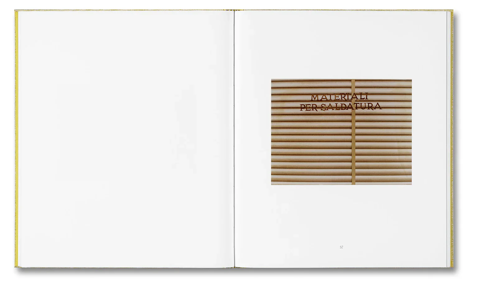Alessio Bolzoni & Luca Guadagnino - Luigi Ghirri Felicità - Image 14