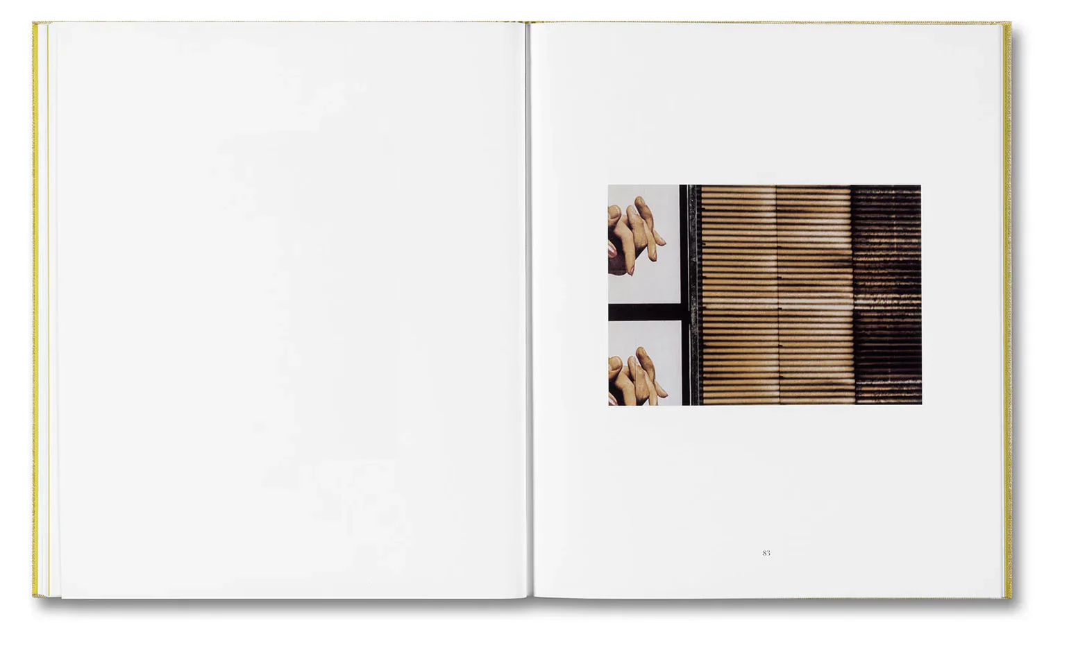 Alessio Bolzoni & Luca Guadagnino - Luigi Ghirri Felicità - Image 20