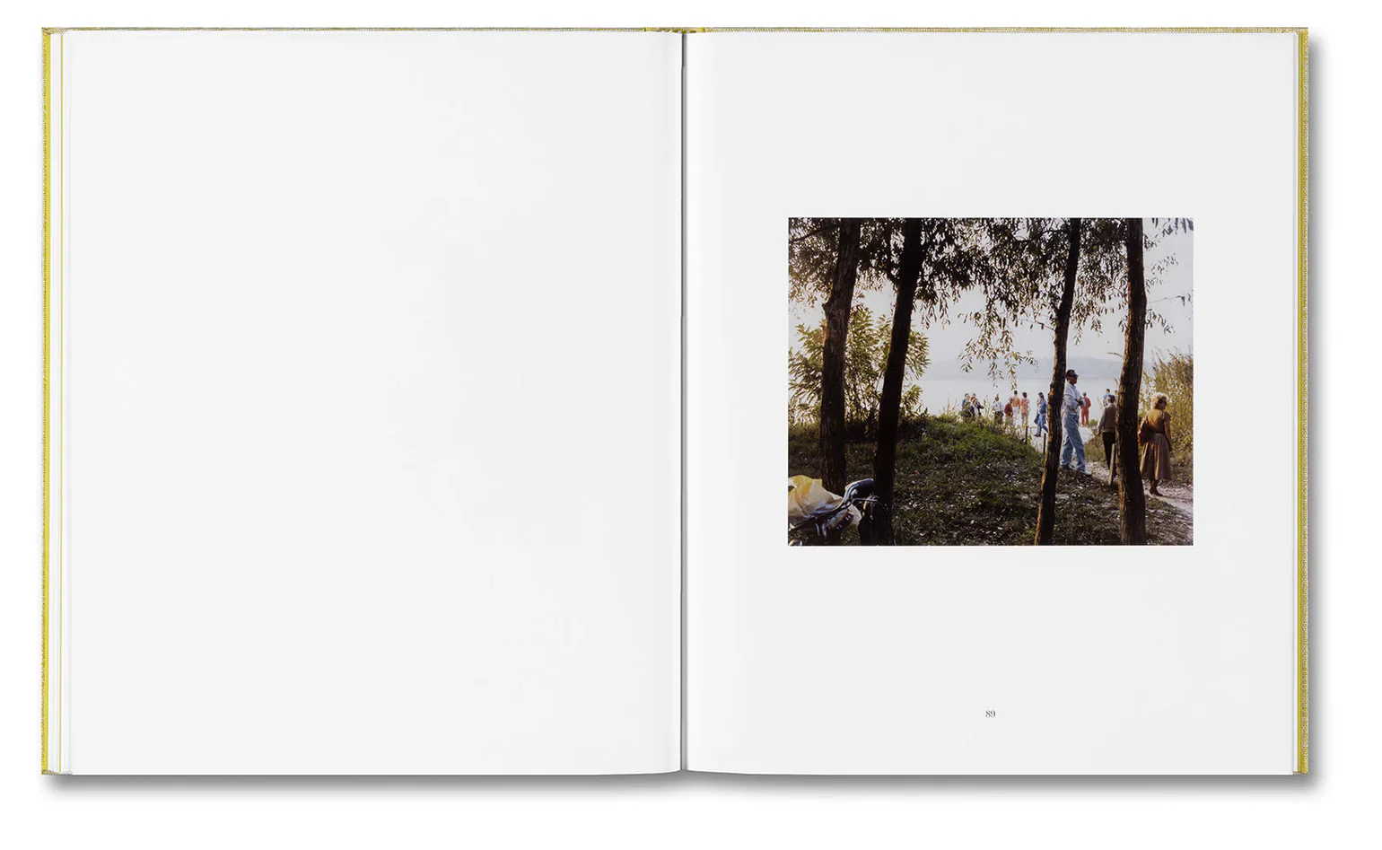 Alessio Bolzoni & Luca Guadagnino - Luigi Ghirri Felicità - Image 23