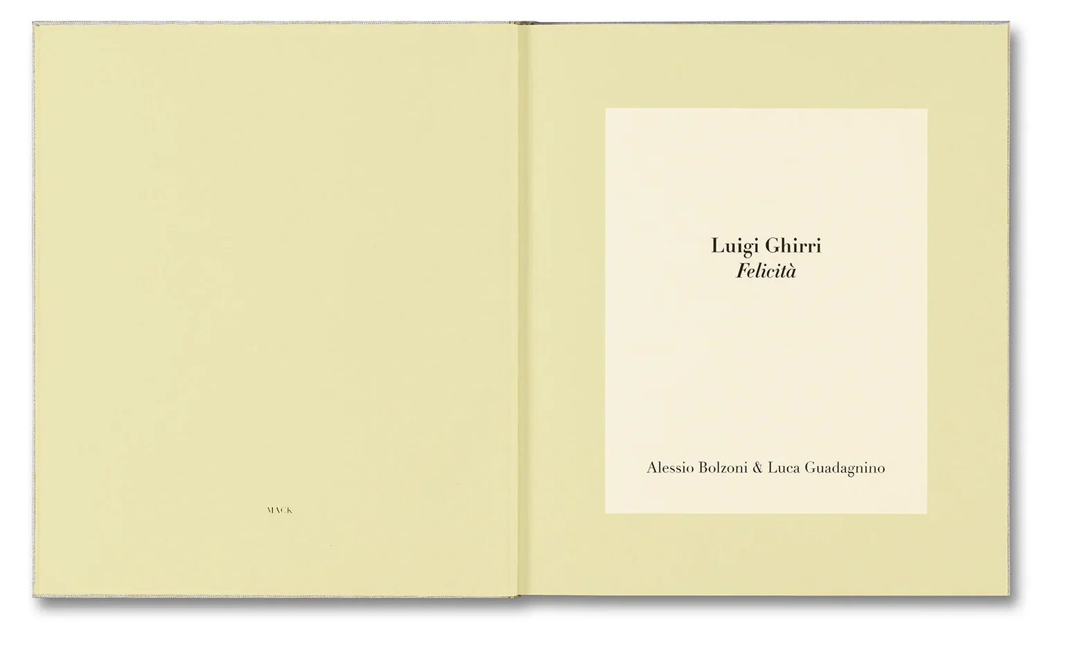 Alessio Bolzoni & Luca Guadagnino - Luigi Ghirri Felicità - Image 3