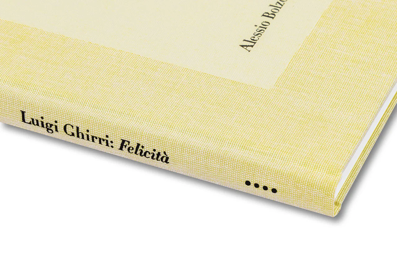Alessio Bolzoni & Luca Guadagnino - Luigi Ghirri Felicità - Image 31