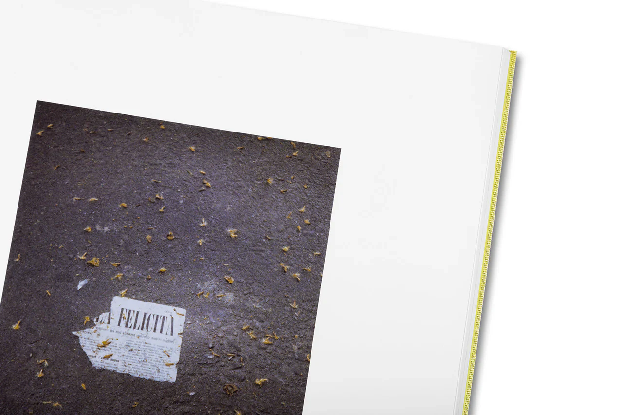 Alessio Bolzoni & Luca Guadagnino - Luigi Ghirri Felicità - Image 32