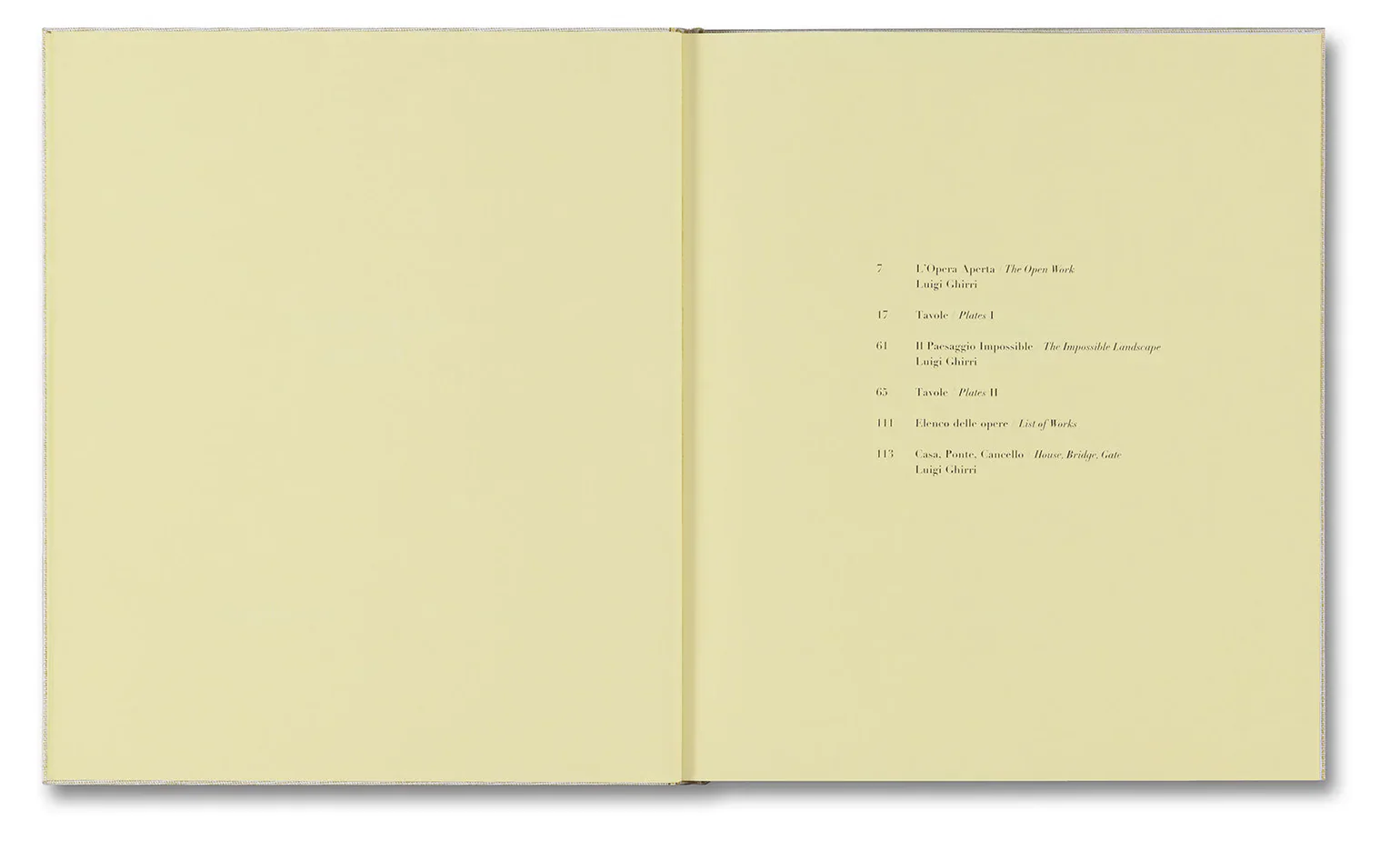 Alessio Bolzoni & Luca Guadagnino - Luigi Ghirri Felicità - Image 4