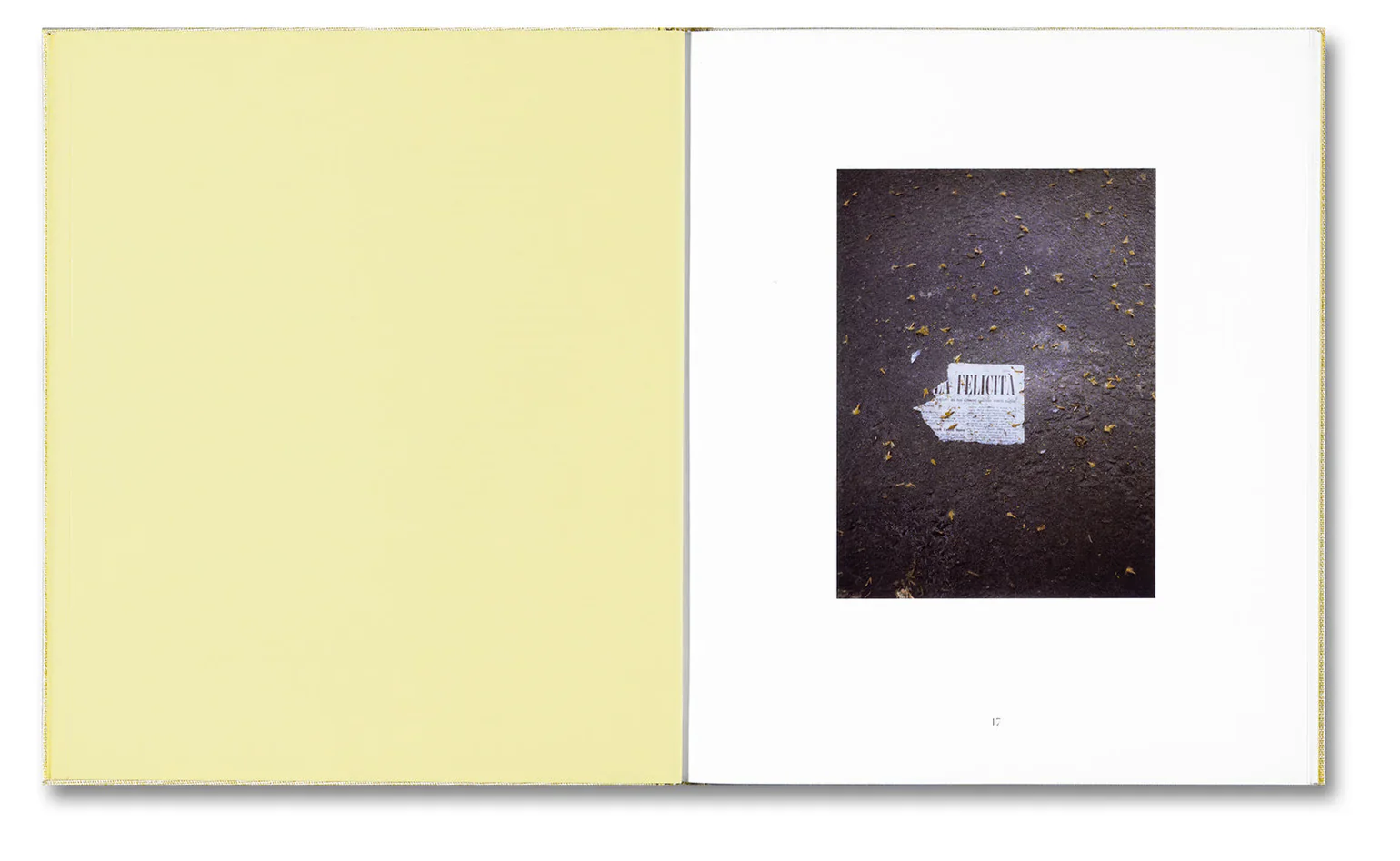 Alessio Bolzoni & Luca Guadagnino - Luigi Ghirri Felicità - Image 6
