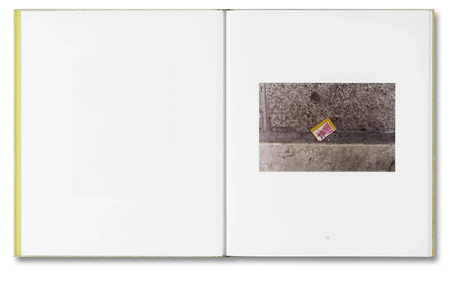 Alessio Bolzoni & Luca Guadagnino - Luigi Ghirri Felicità - Image 8