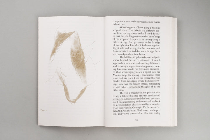 Alice Twemlow, Tânia A. Cardoso - Walking as Research Practice - Image 13