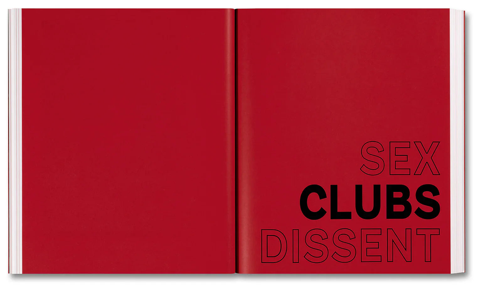 Amelia Abraham - Sex, Clubs, Dissent: Visualising Queer Nightlife - Image 14