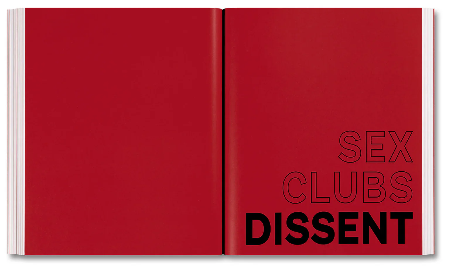 Amelia Abraham - Sex, Clubs, Dissent: Visualising Queer Nightlife - Image 24