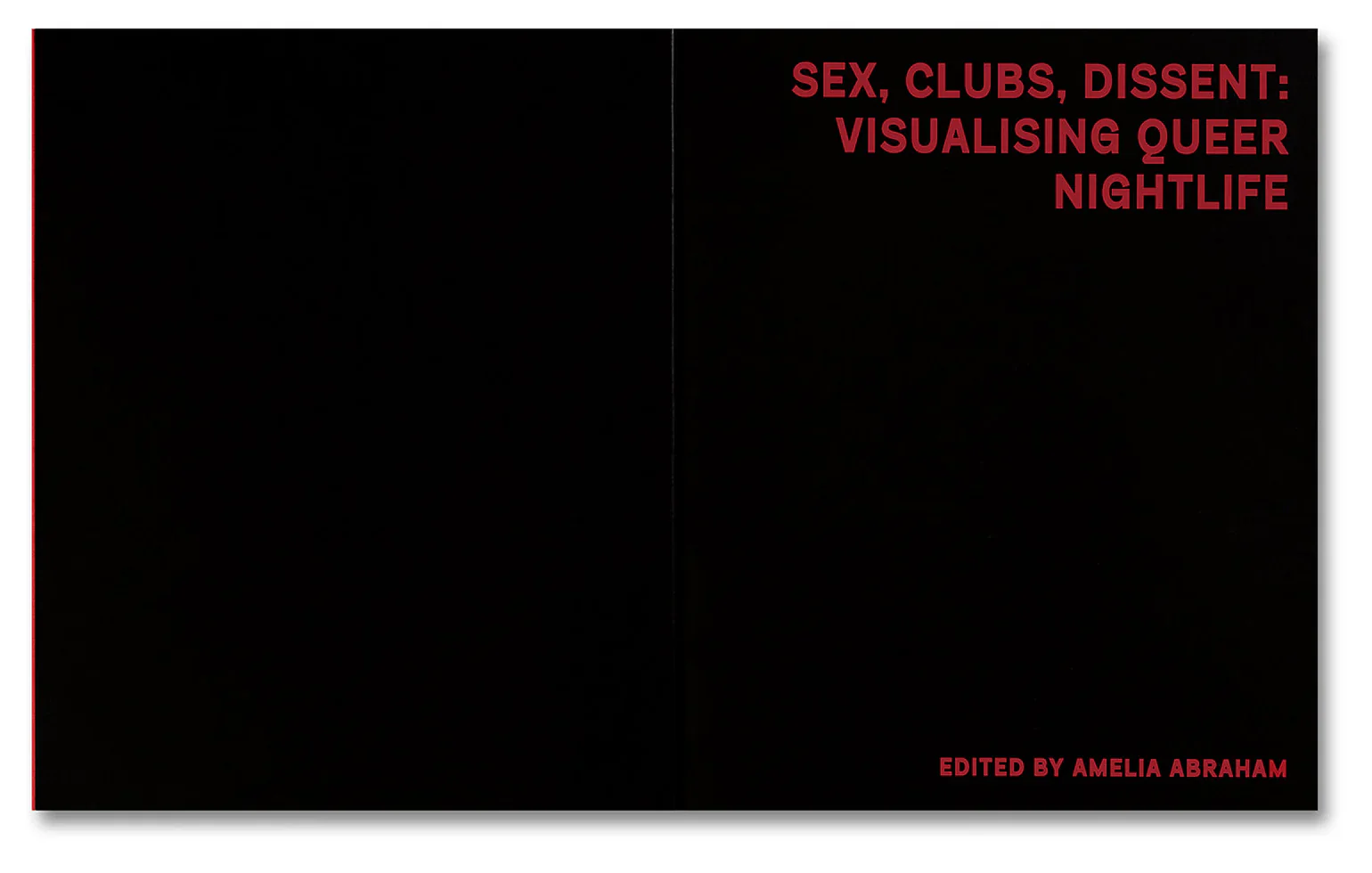 Amelia Abraham - Sex, Clubs, Dissent: Visualising Queer Nightlife - Image 4