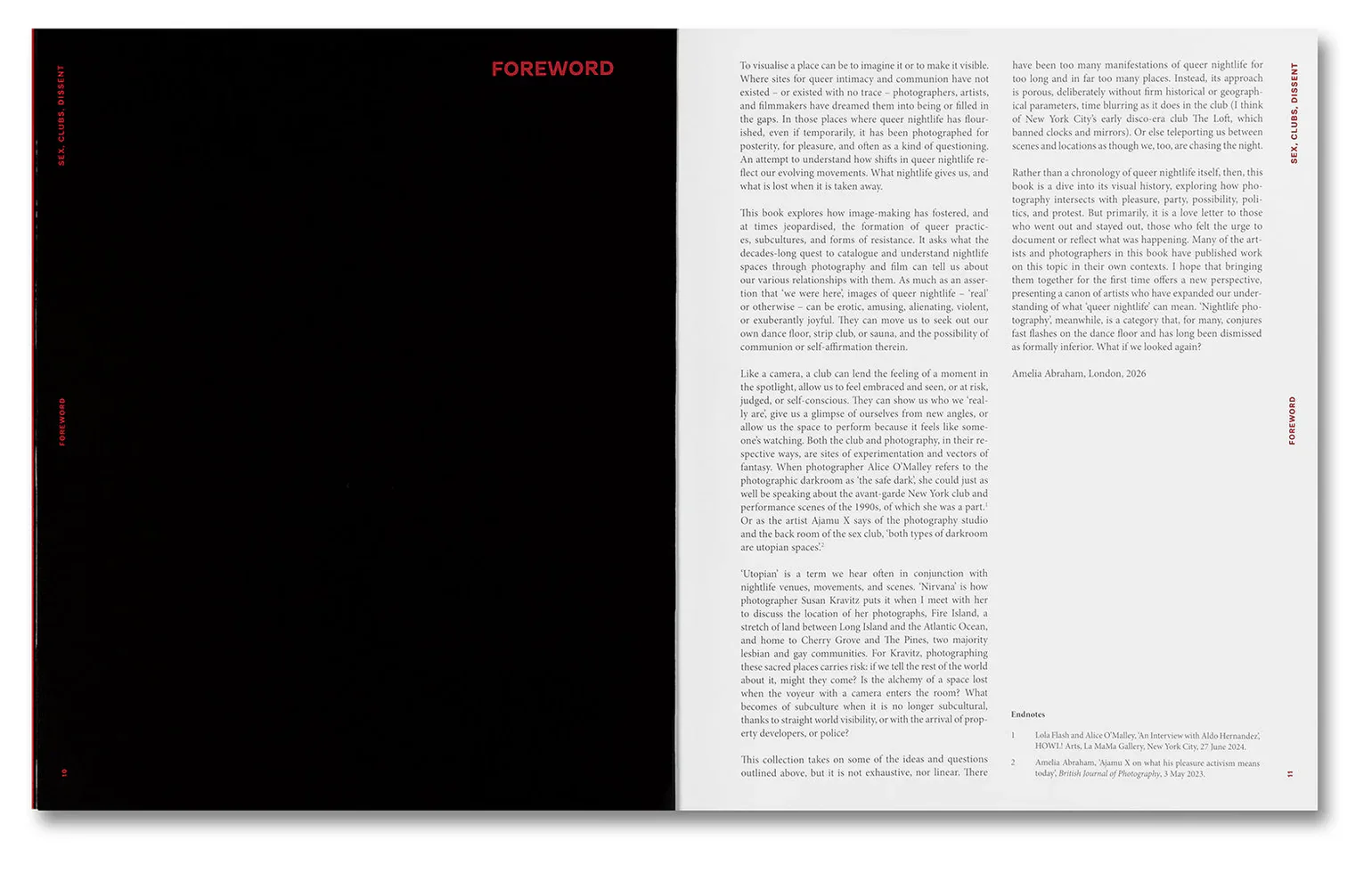 Amelia Abraham - Sex, Clubs, Dissent: Visualising Queer Nightlife - Image 7