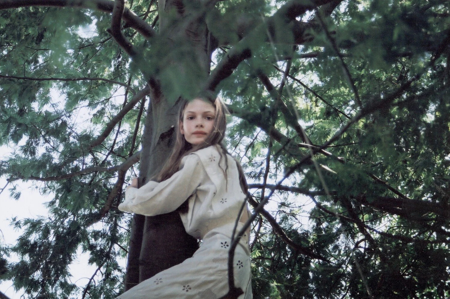 Angela Hill - Sylvia - Image 2