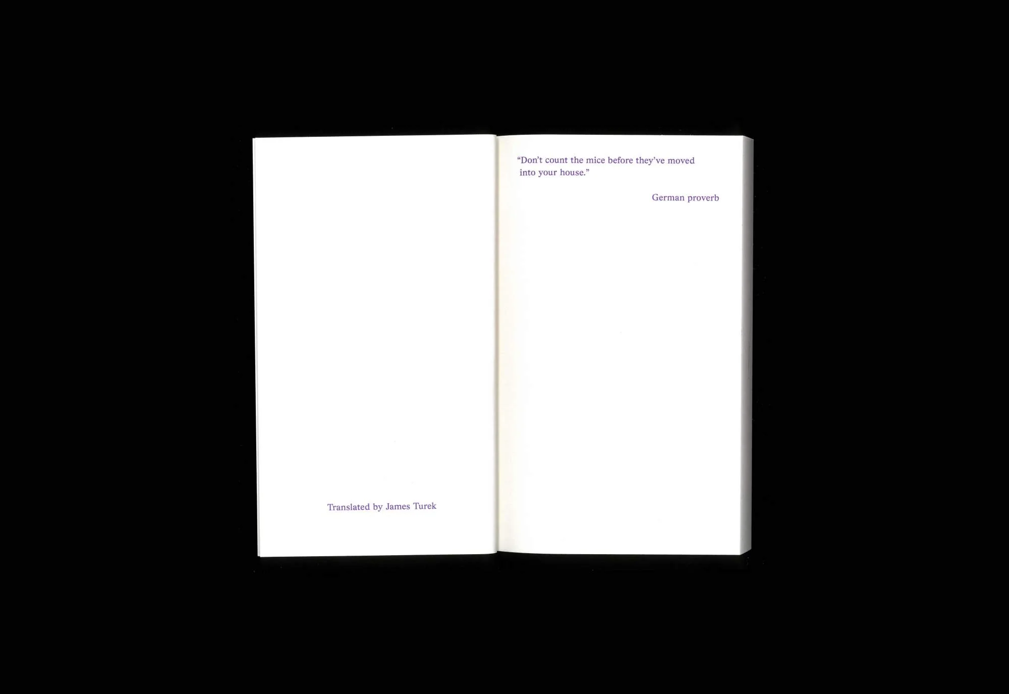 Anna Haifisch - Mouse in Residence - Image 3