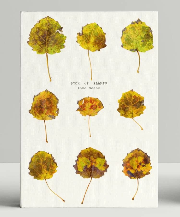 Anne Geene - Book of Plants - Image 2