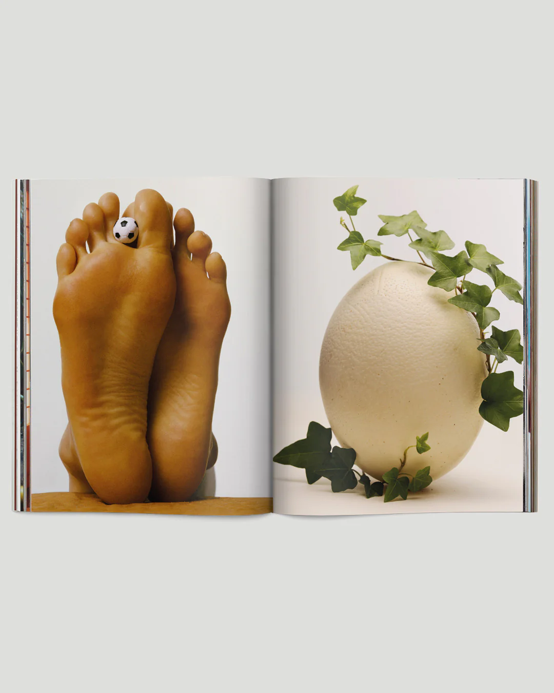 Arxipelag - Vol. 3 "Fun" - Image 14