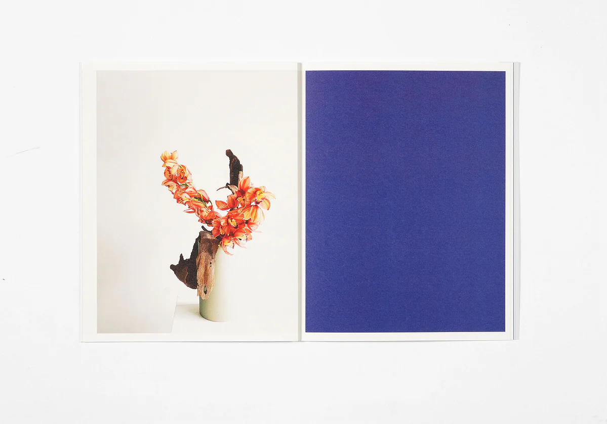 Azumi Ishikawa - Ikebana - Image 10