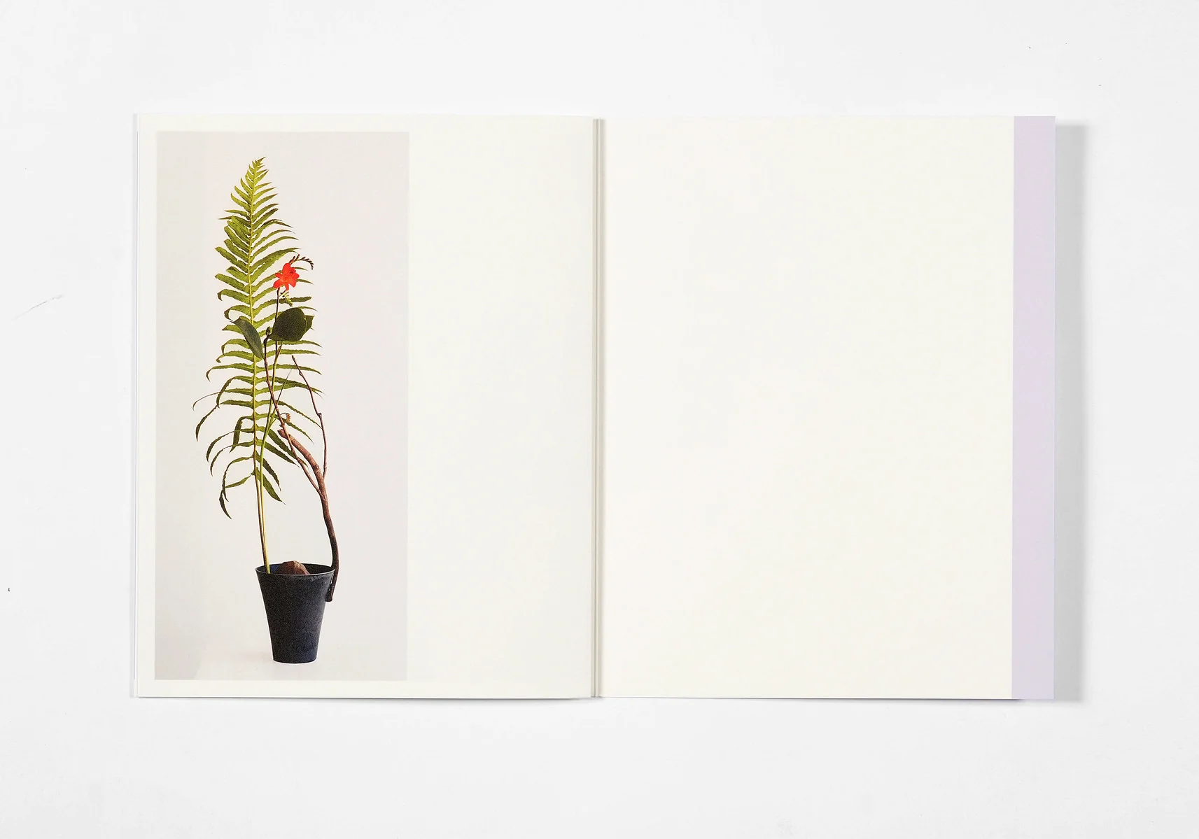 Azumi Ishikawa - Ikebana - Image 12