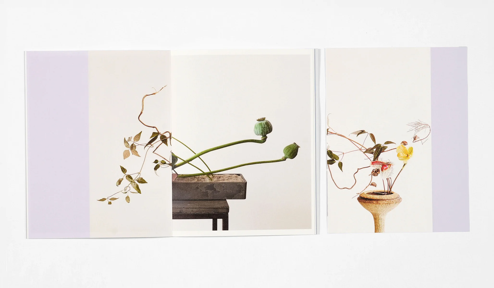 Azumi Ishikawa - Ikebana - Image 13