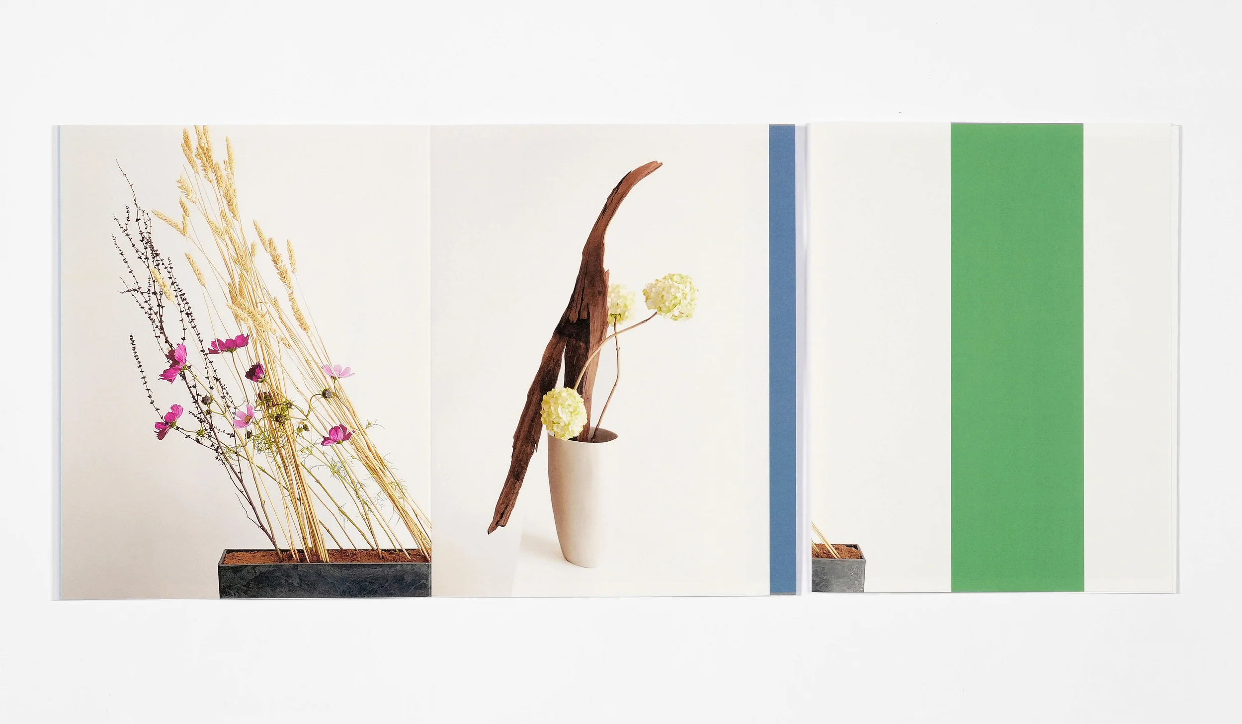 Azumi Ishikawa - Ikebana - Image 5