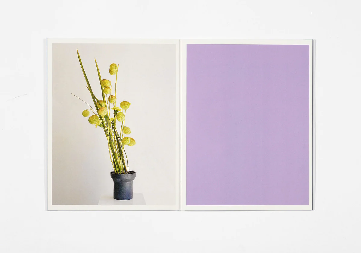 Azumi Ishikawa - Ikebana - Image 6