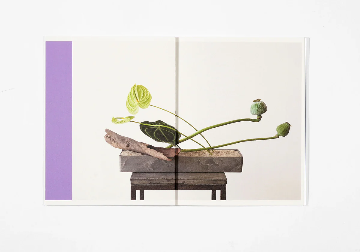 Azumi Ishikawa - Ikebana - Image 9
