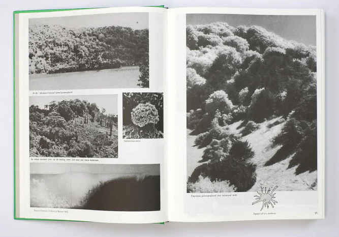 Batia Suter - Parallel Encyclopedia 2 (Revised edition) - Image 5