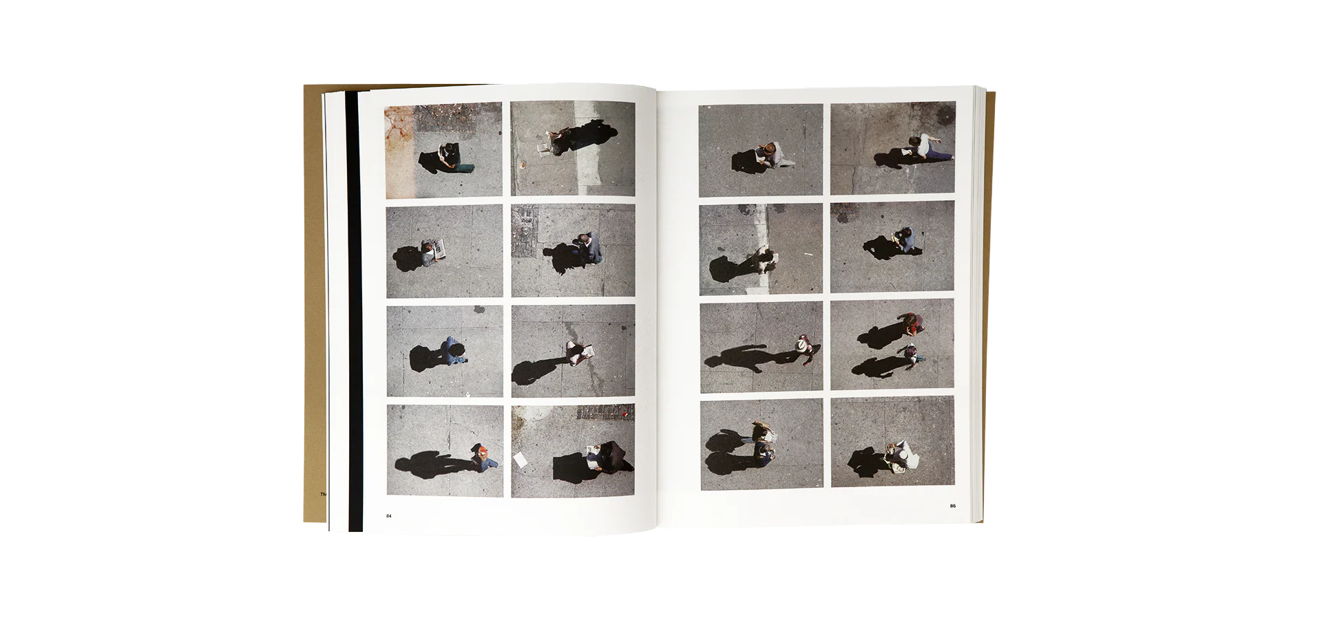 Bettina Grossman - Bettina - Image 6