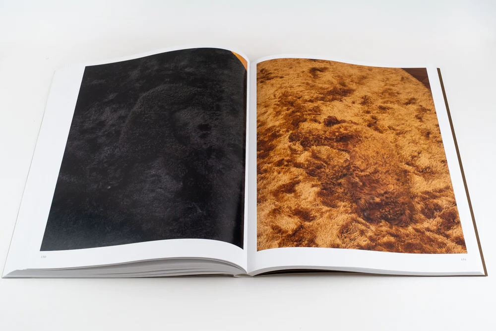 Blommers & Schumm - More - Image 27