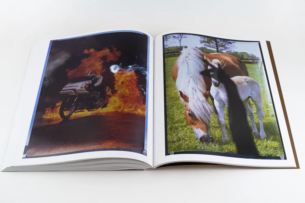 Blommers & Schumm - More - Image 32