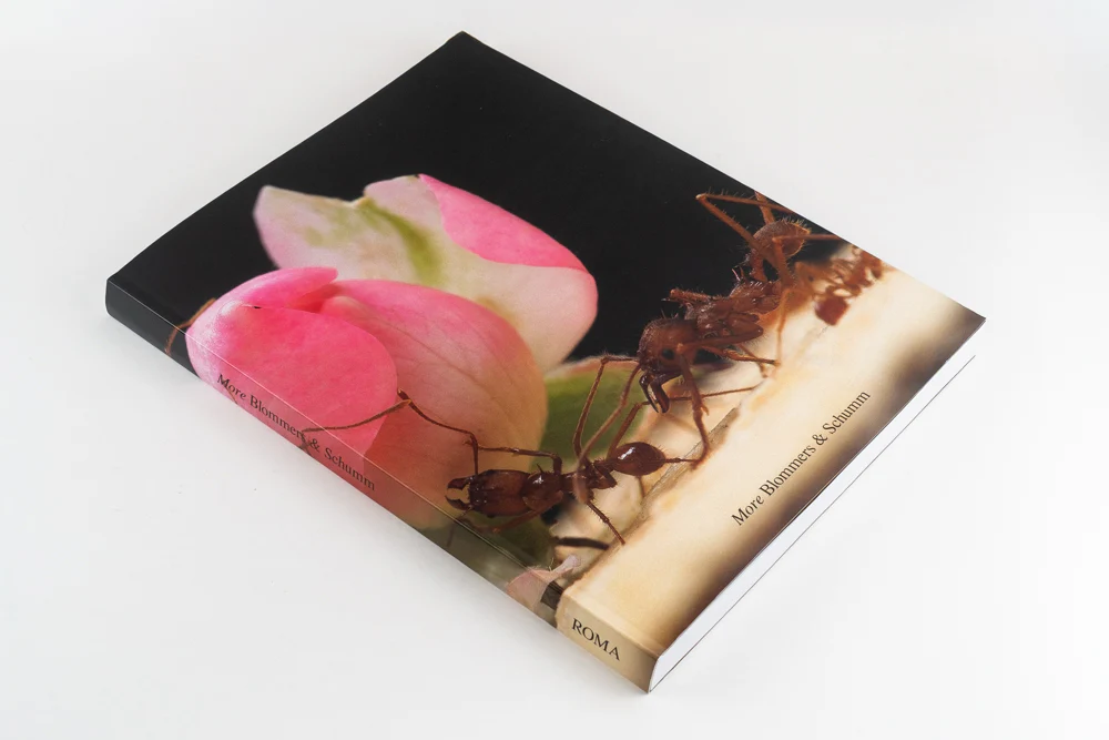 Blommers & Schumm - More - Image 39