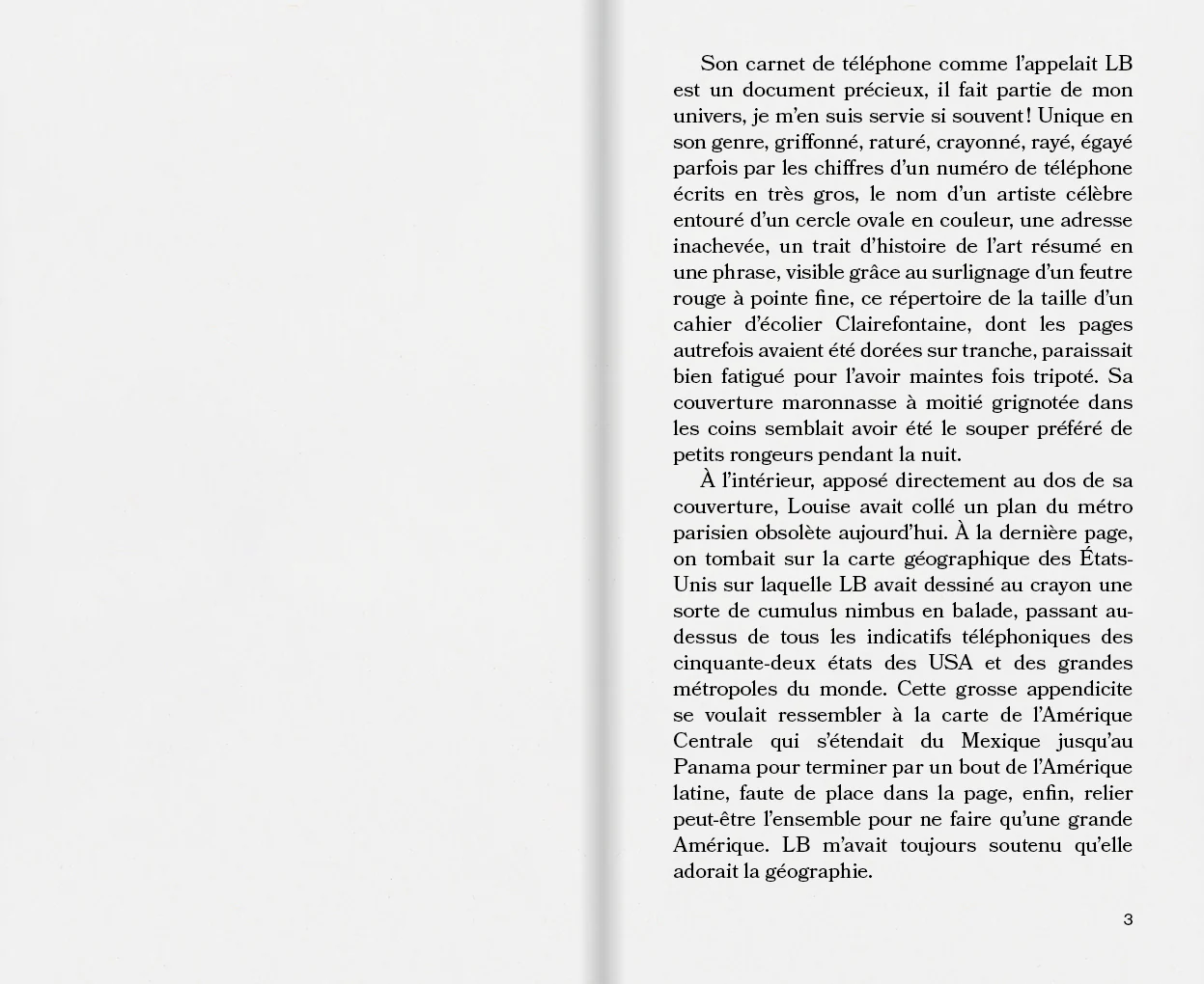 Brigitte Cornand - L’aide-mémoire de Louise Bourgeois - Image 3