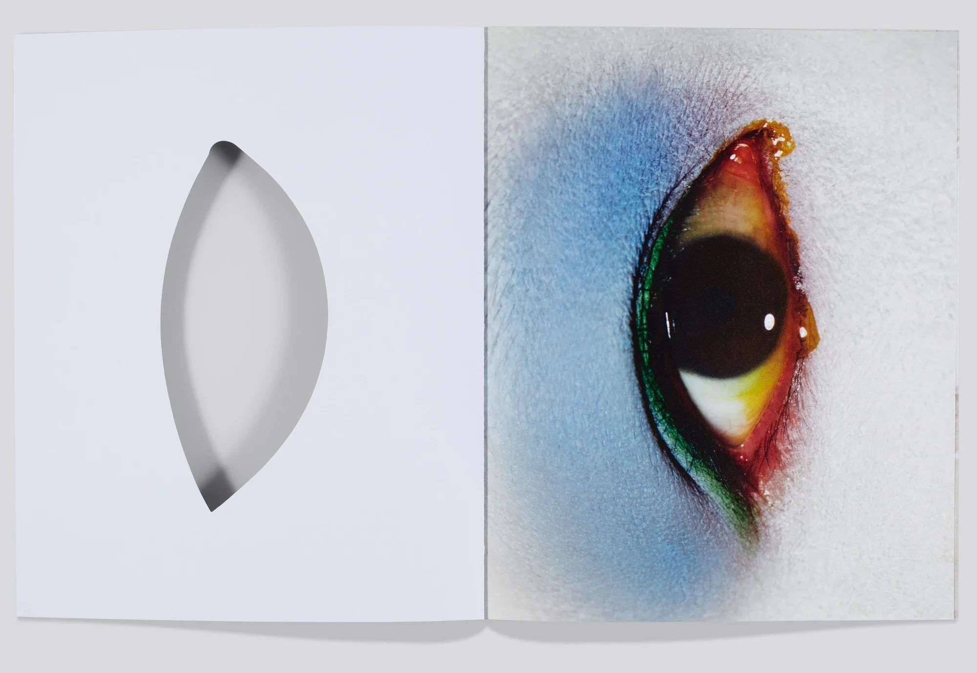 Carlijn Jacobs - Eyes - Image 3