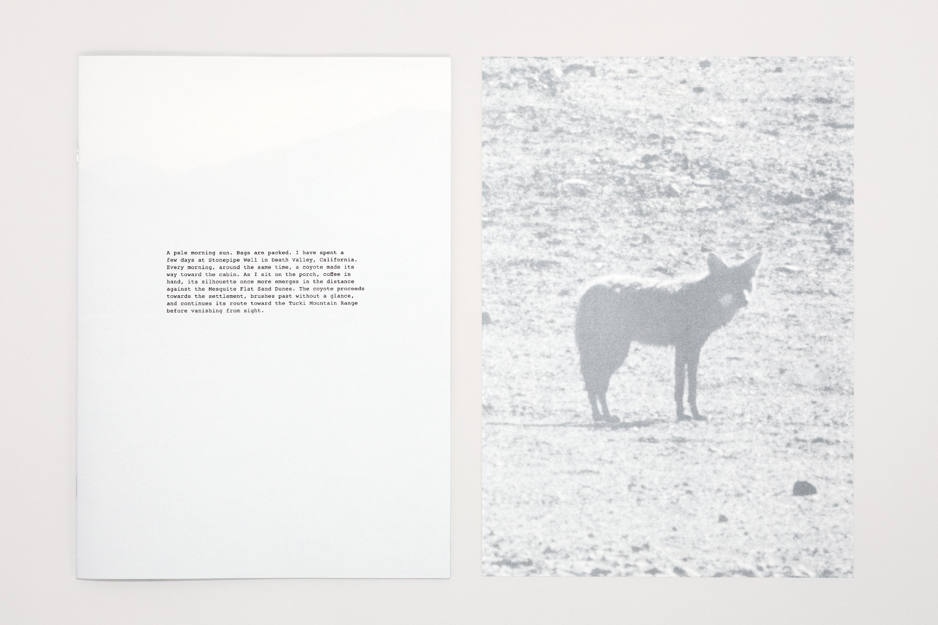 Daniel Gustav Cramer - Fox & Coyote - Image 14