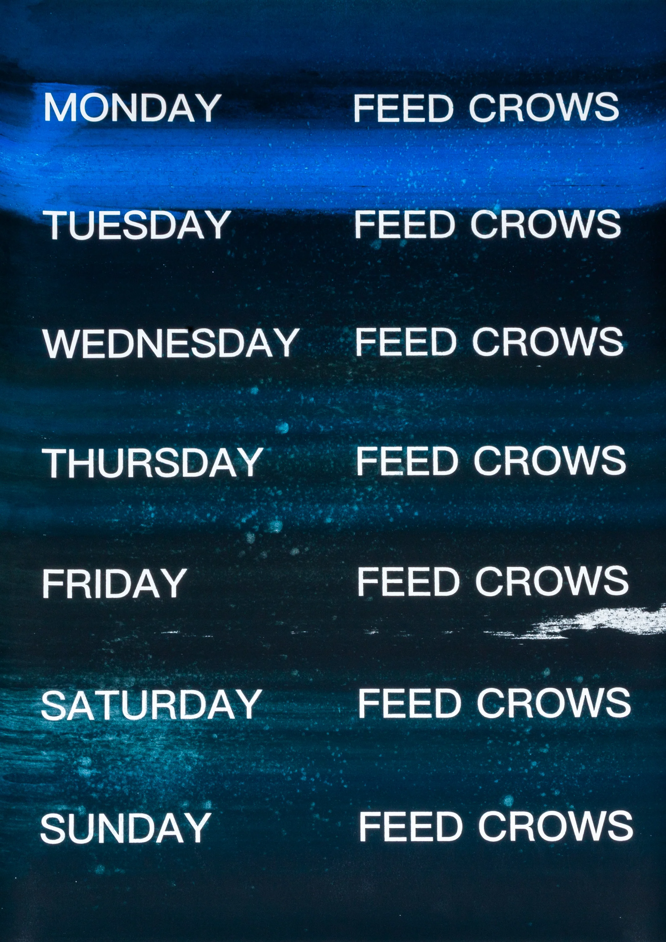 David Horvitz - Feed Crows (Print) - Image 33