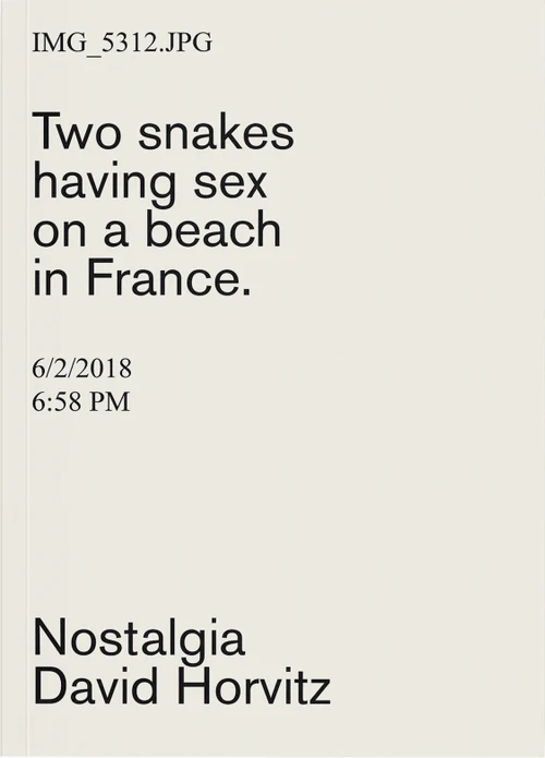 David Horvitz - Nostalgia (2021)