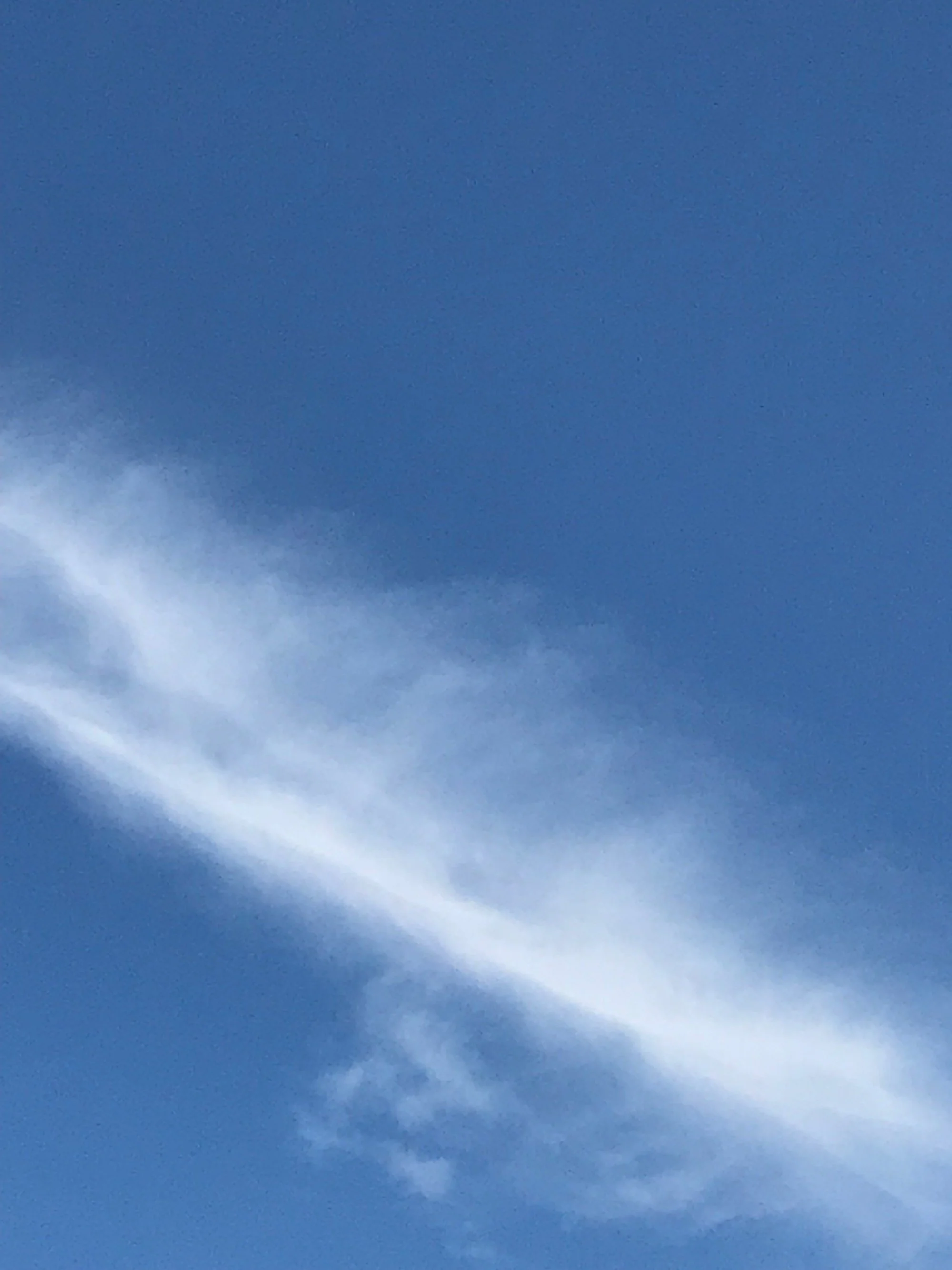 David Horvitz - "Yesterday" - monthly subscription / Abonnement - August 2026