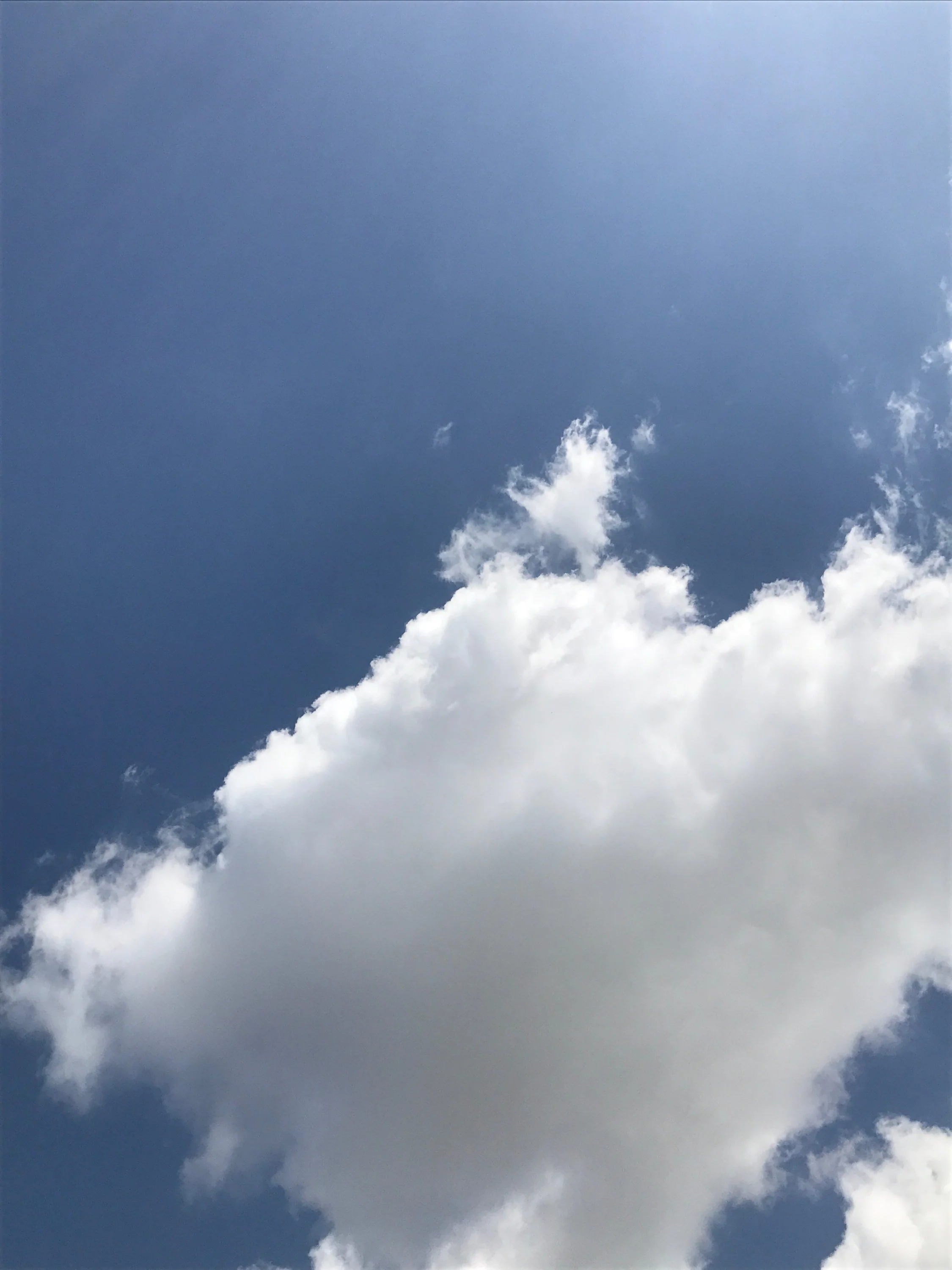David Horvitz - "Yesterday" - monthly subscription / Abonnement - August 2026 - Image 3