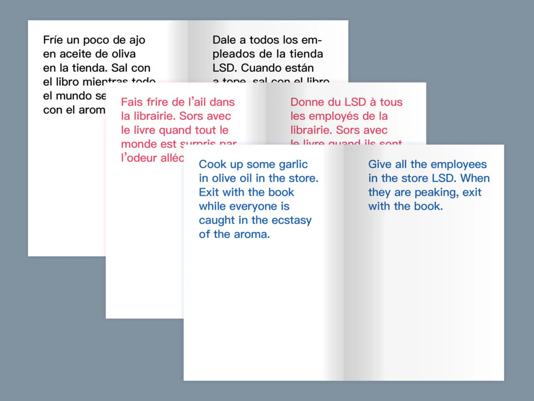 David Horvitz - How to shoplift books - Image 3