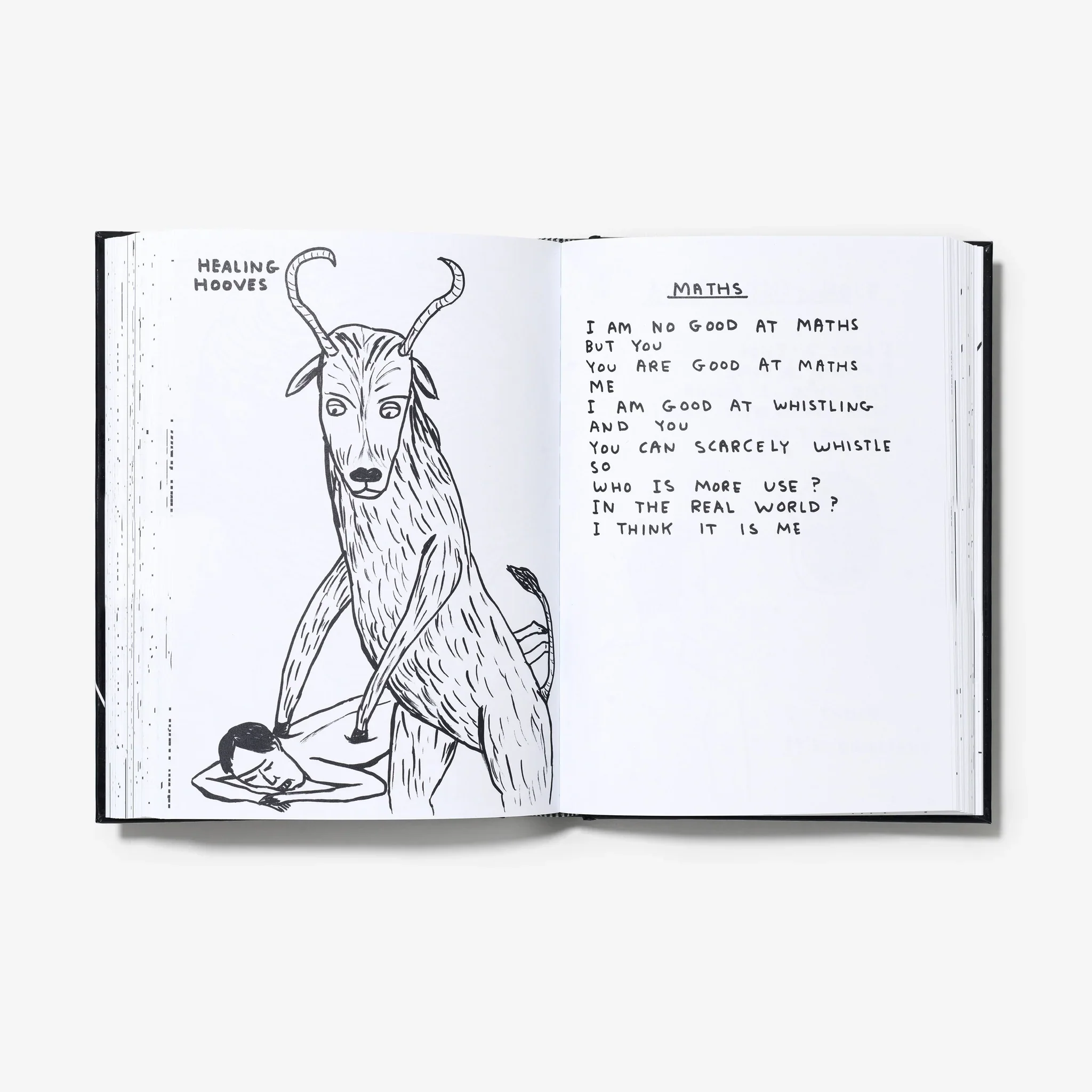 David Shrigley - I am the jug you are the glass - Image 11