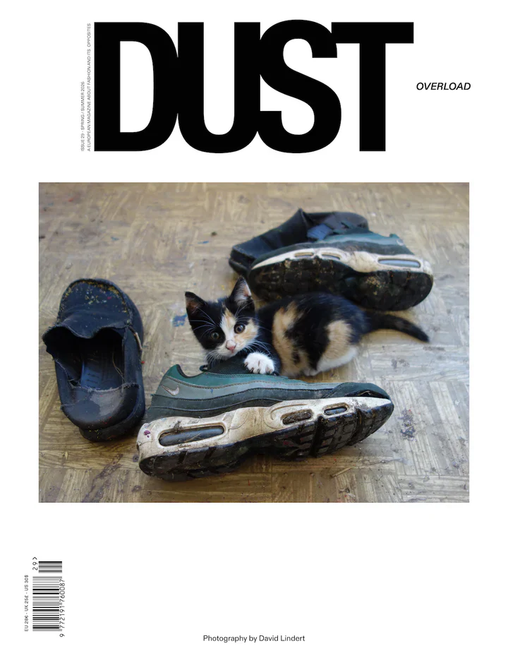 DUST - N°29 - Image 9