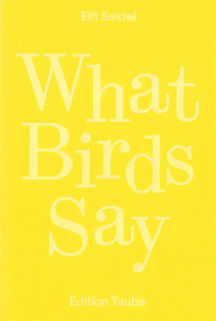 Elfi Seidel - What Birds Say