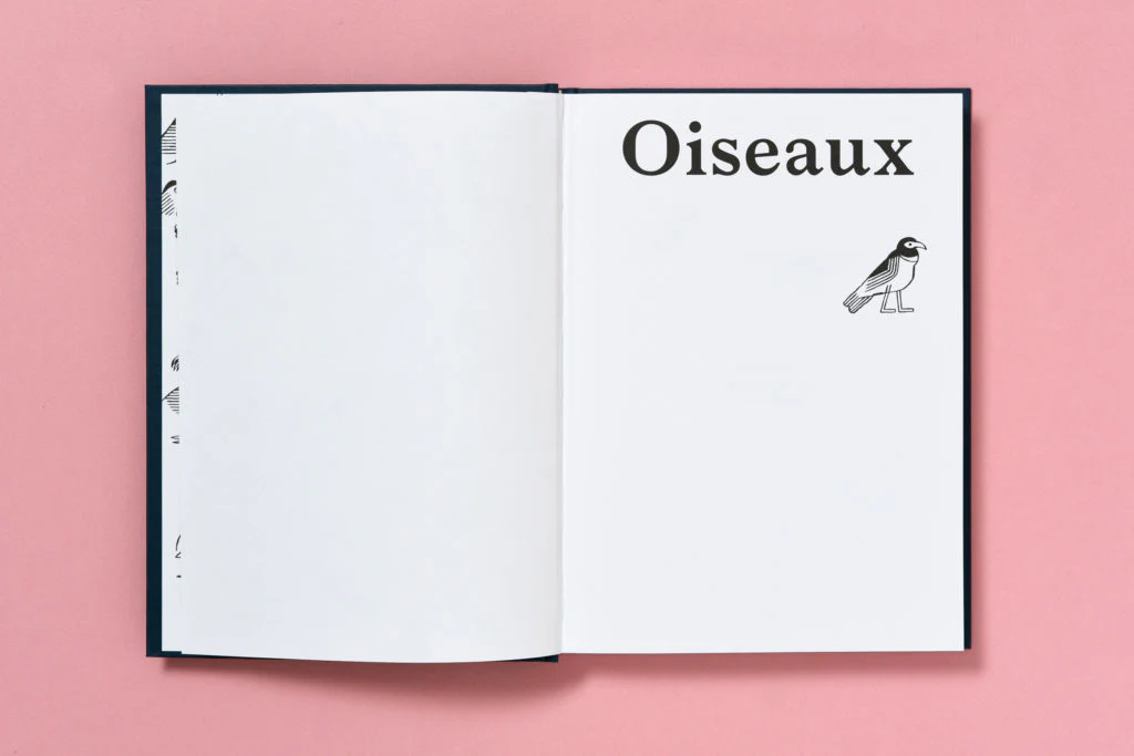 Emanuele Coccia, Jochen Gerner - Oiseaux (Inventaire chromatique réel et imaginaire) - Image 3